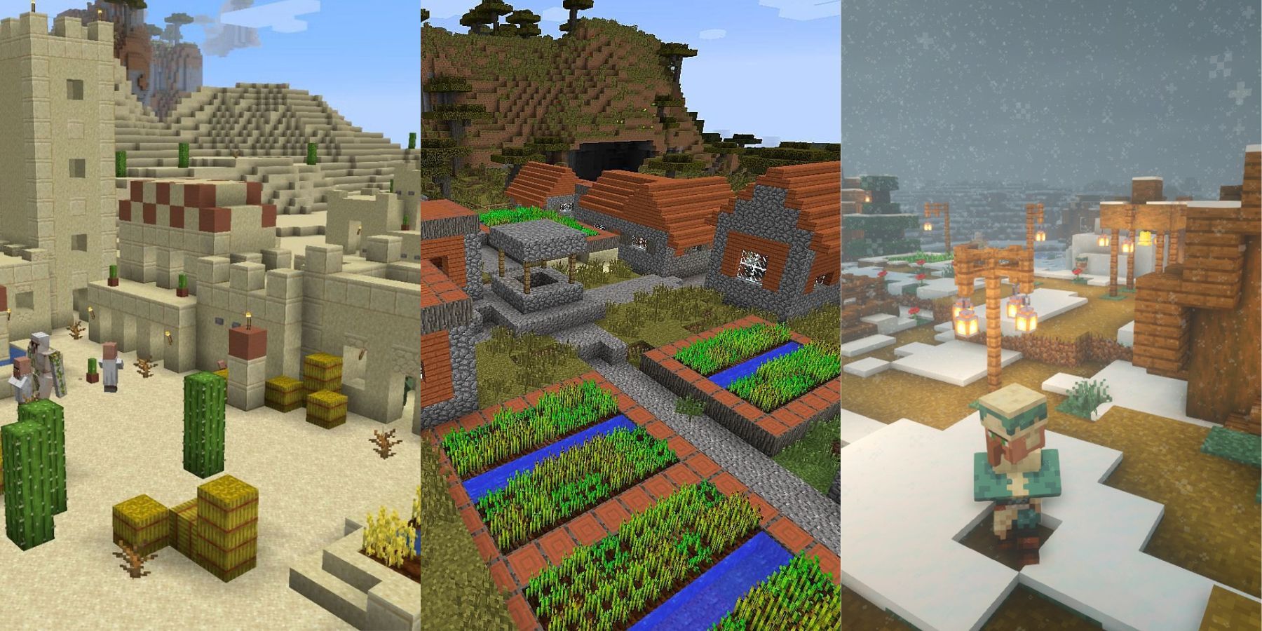 Minecraft three village biomes