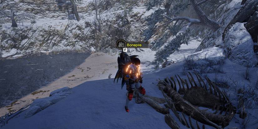 Monster Hunter Rise - Standing In Front Of A Bonepile In The Frost Islands