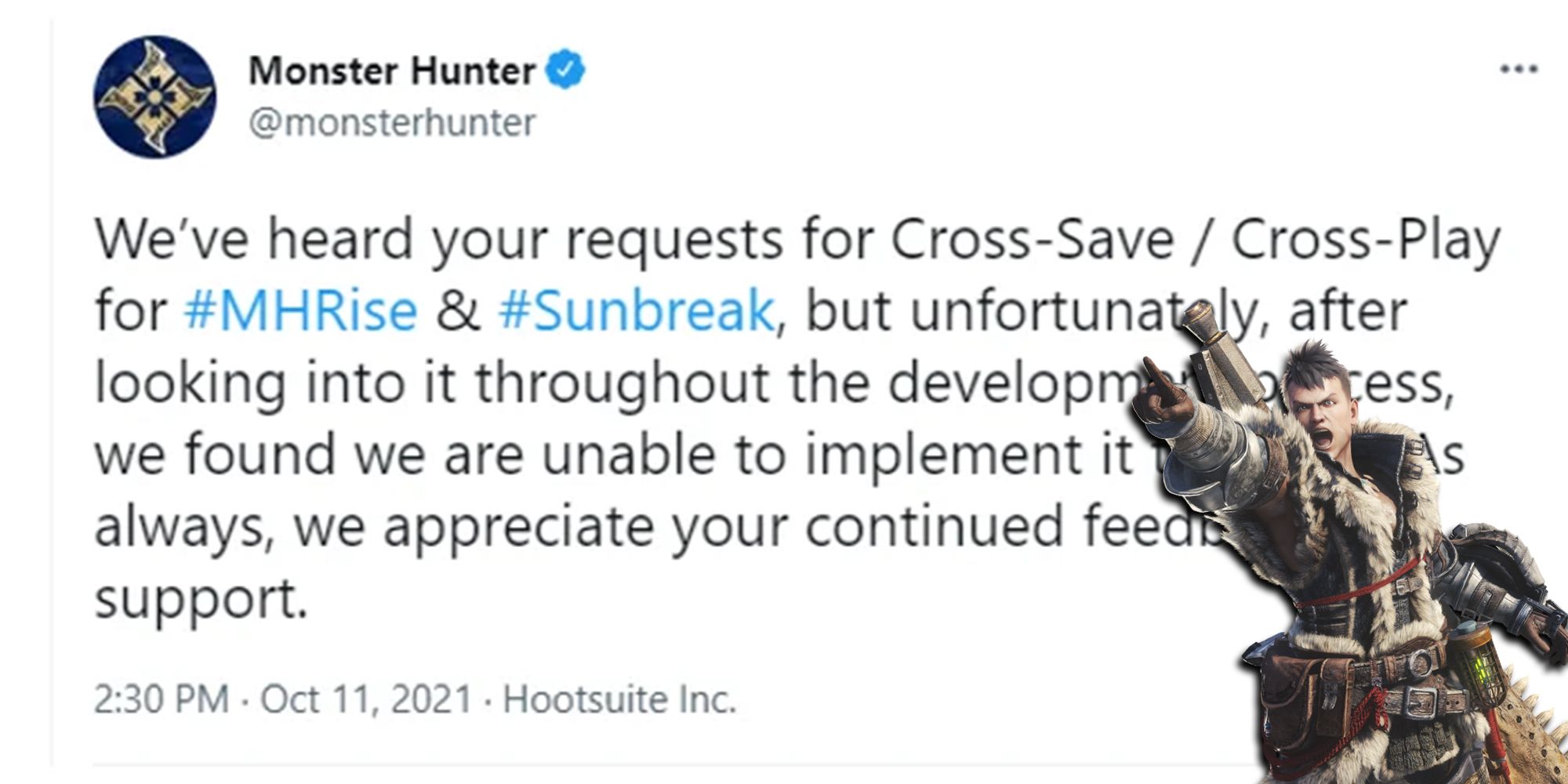 Monster Hunter Rise - Tweet Confirming No Crossplay Or Cross Save With Hunter Pointing Angrily At it