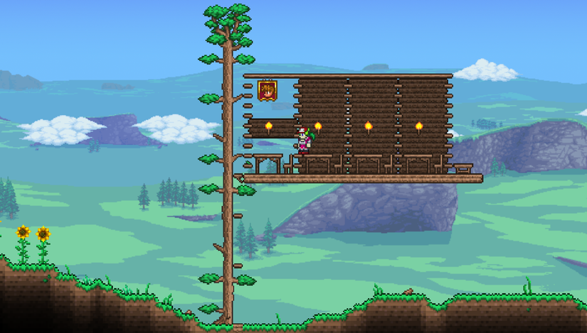 NPC housing Terraria