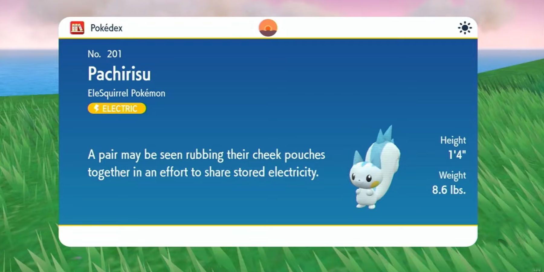 Pachirisu Pokedex Entry