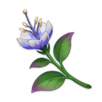 Padisarah Genshin Impact