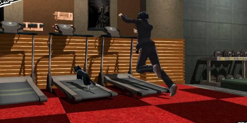 persona gym exercise