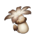 Philanemo Mushroom Genshin Impact