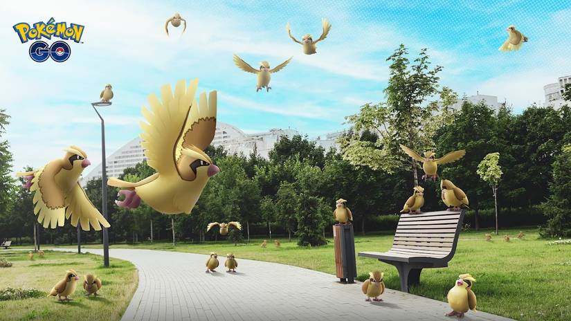 pidgey pandemonium pokemon go