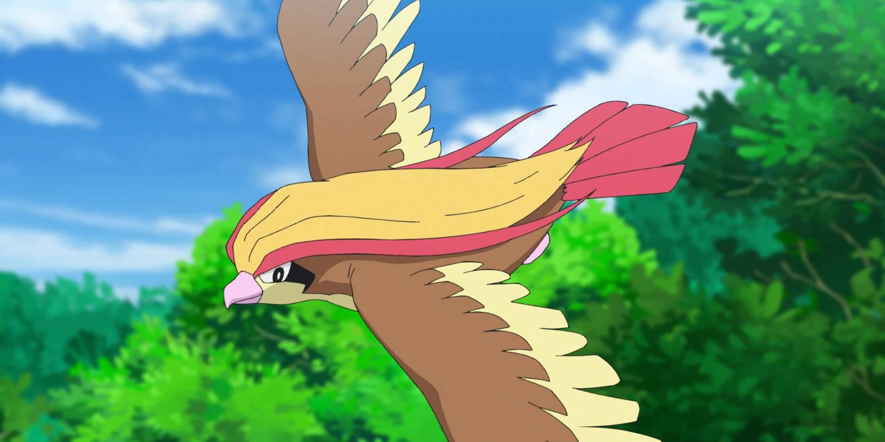 Pidgeot fanart