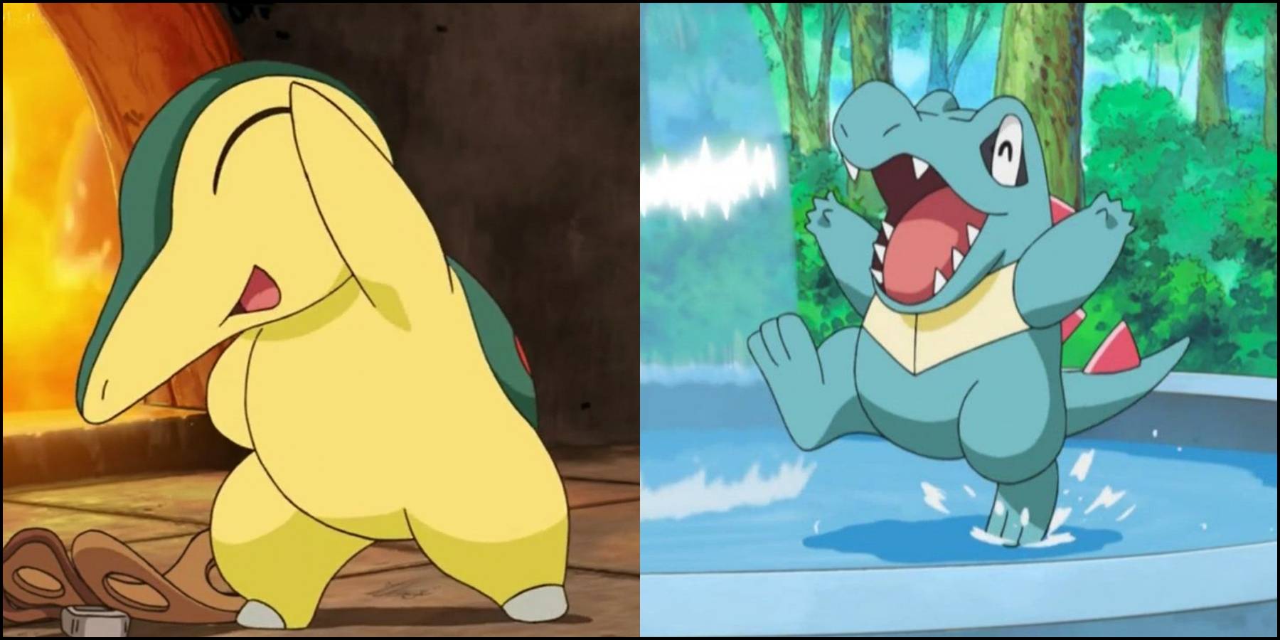 Cyndaquil and totodile