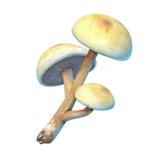 pokemon go icon mushroom