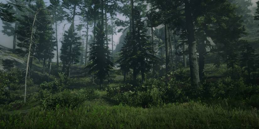 Screenshot of Black Bone Forest from Red Dead Redemption 2