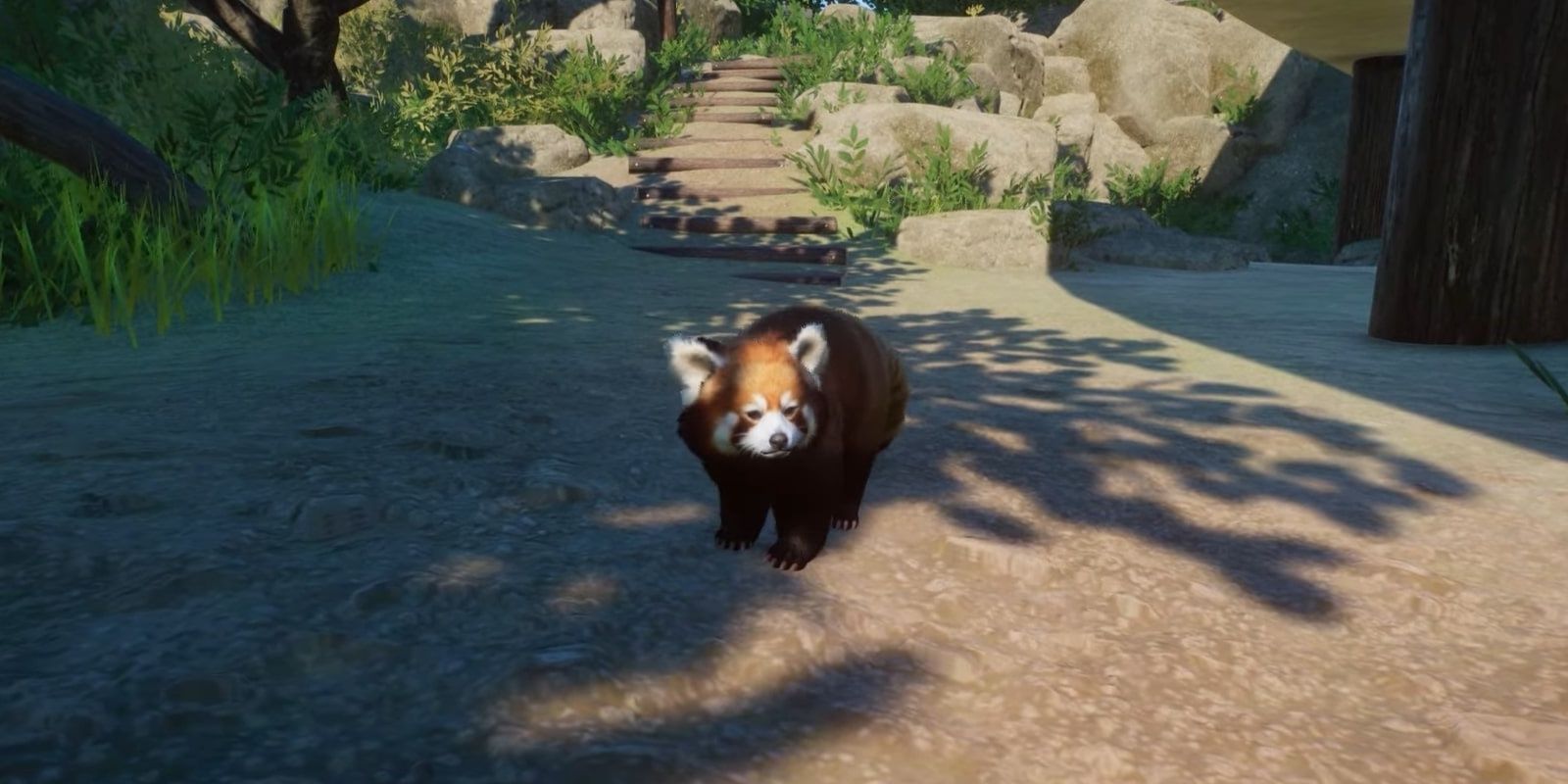 Planet Zoo Red Panda