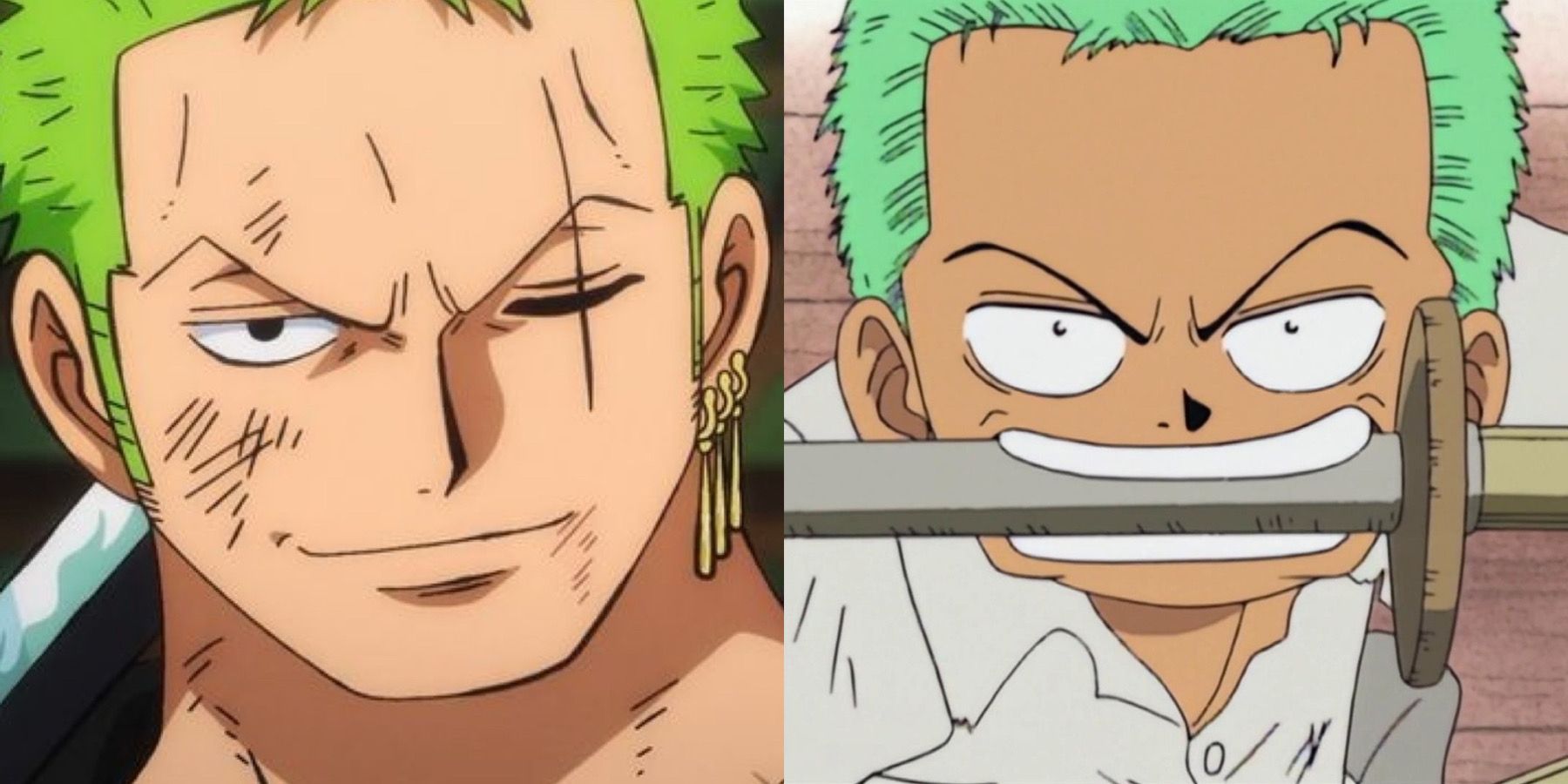 Who Are Zoro's Parents? Zoro's Family Tree Revealed in 'One Piece