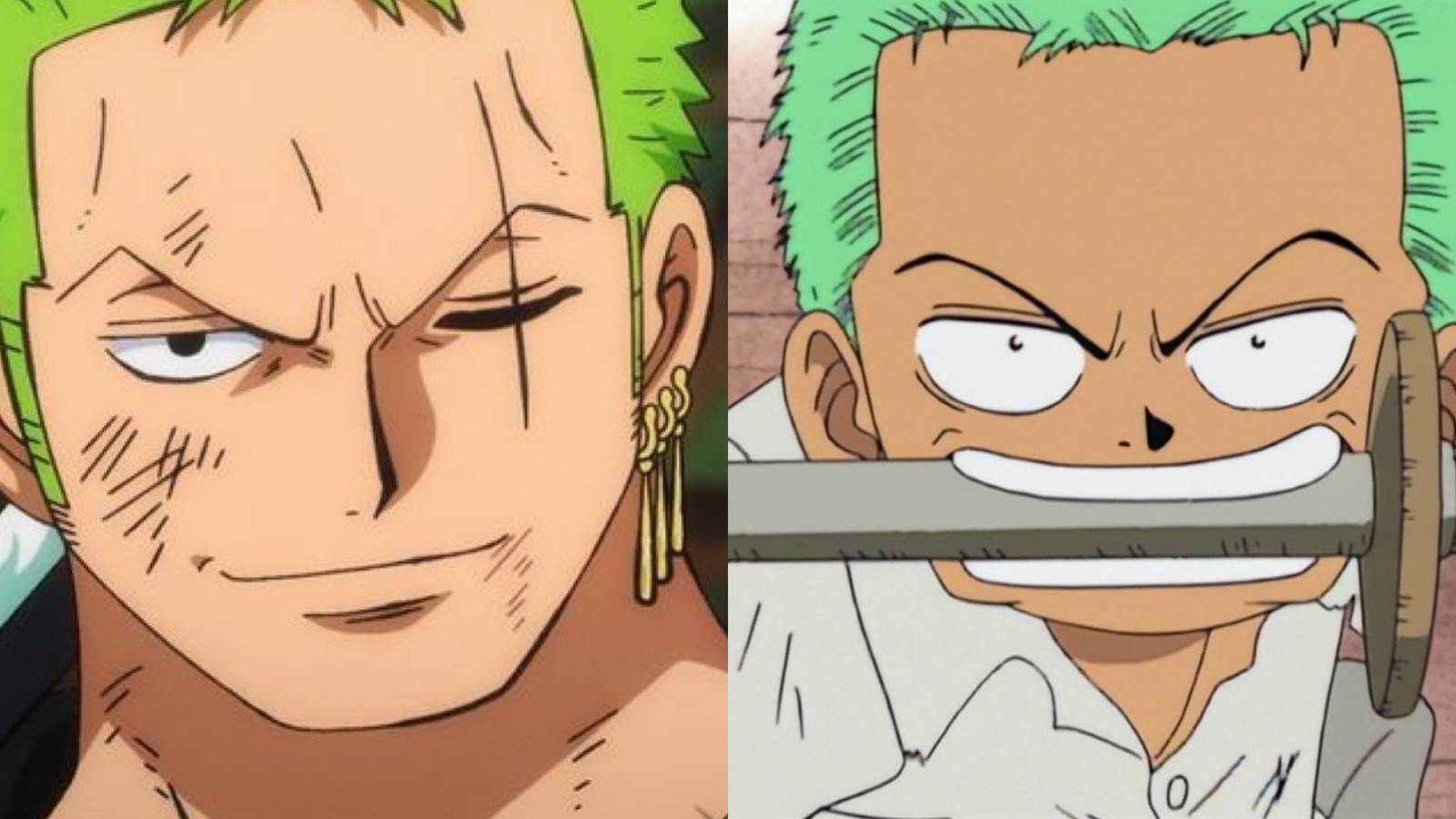 Roronoa zoro one piece