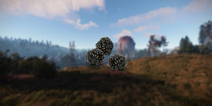 Rust Raspberries Rust: Best Food For Horses