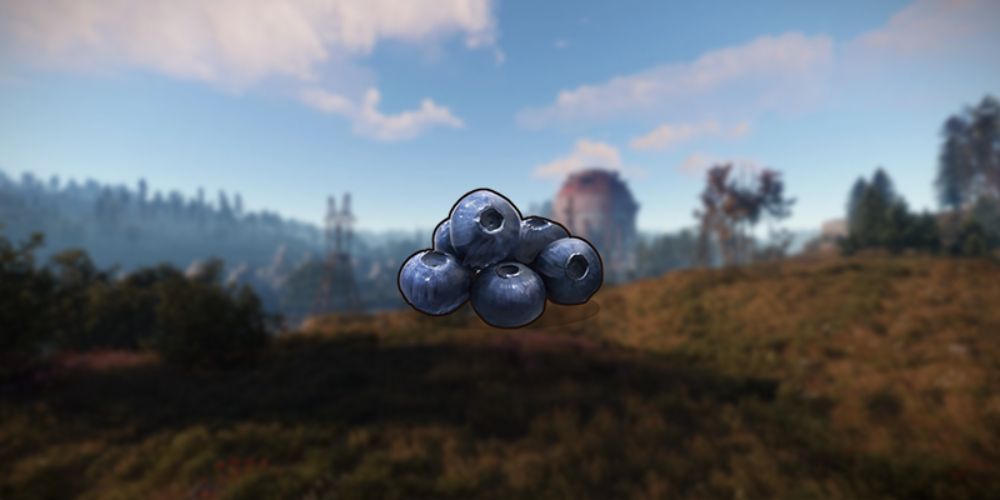 Rust Blueberries