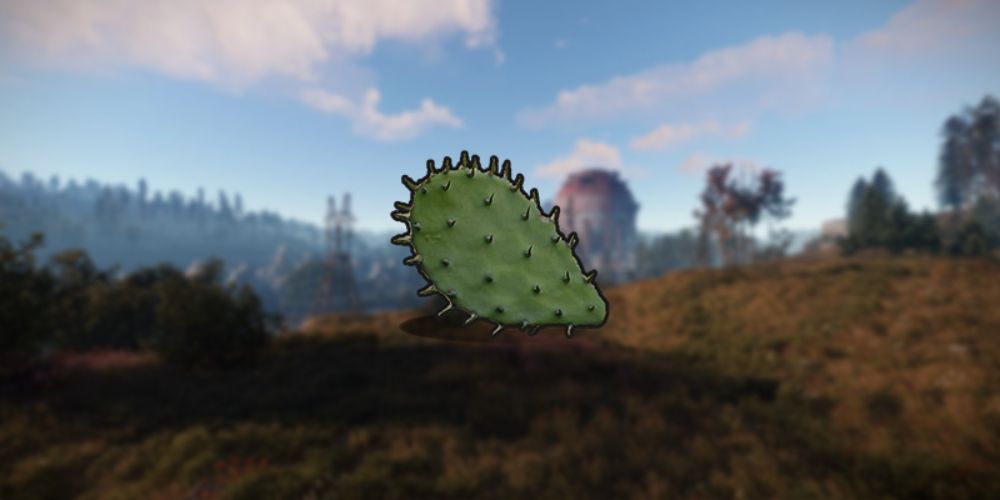 Rust Cactus Flesh