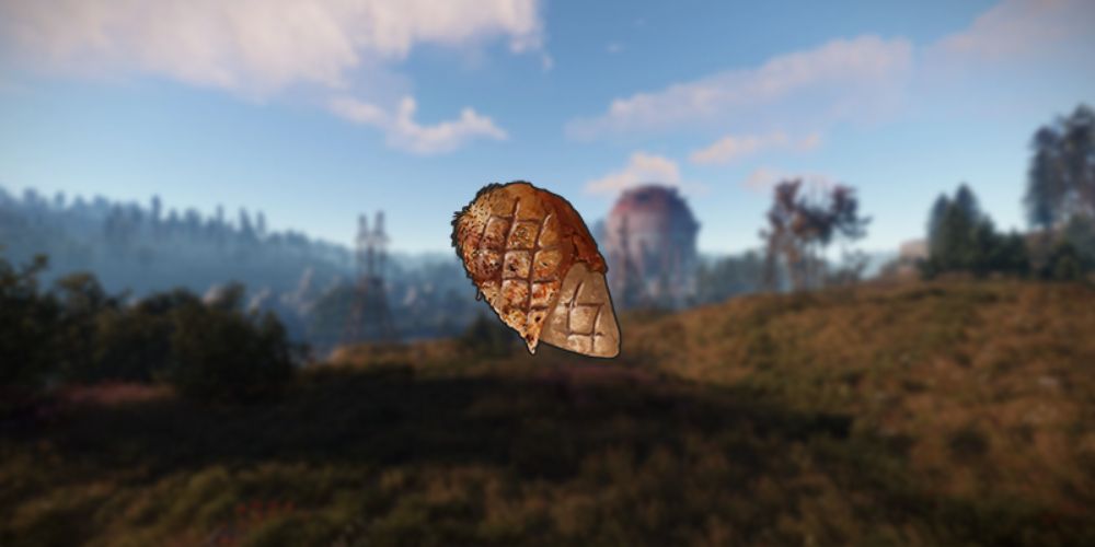 Rust Cooked Chicken