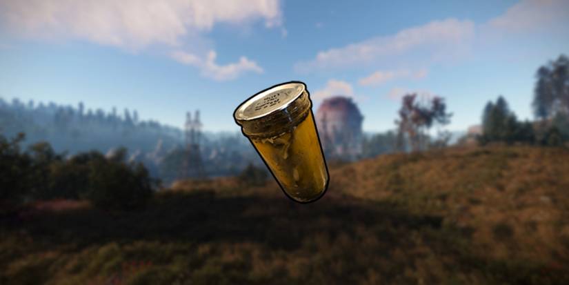 The Rust Pickle Rust: Best Food For Horses