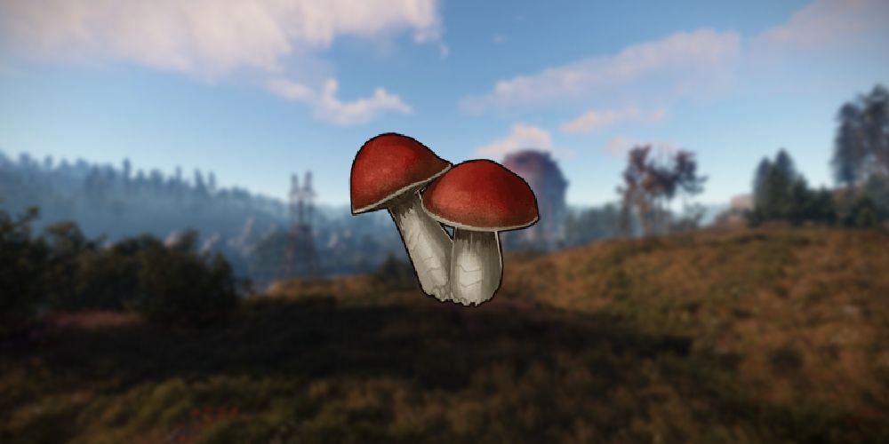 Rust Mushroom