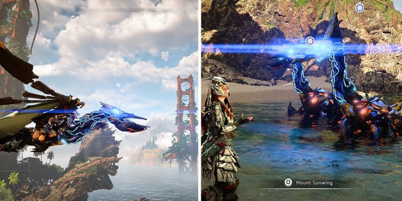 Waterwing and Sunwing in San Francisco with Aloy