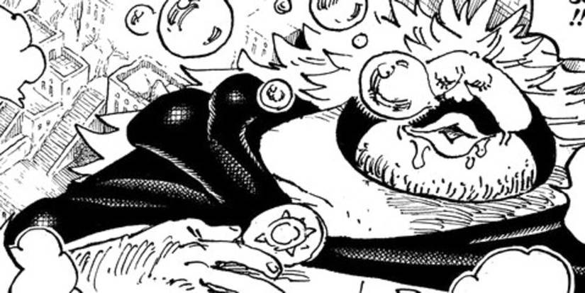 sanjuan wolf one piece 1