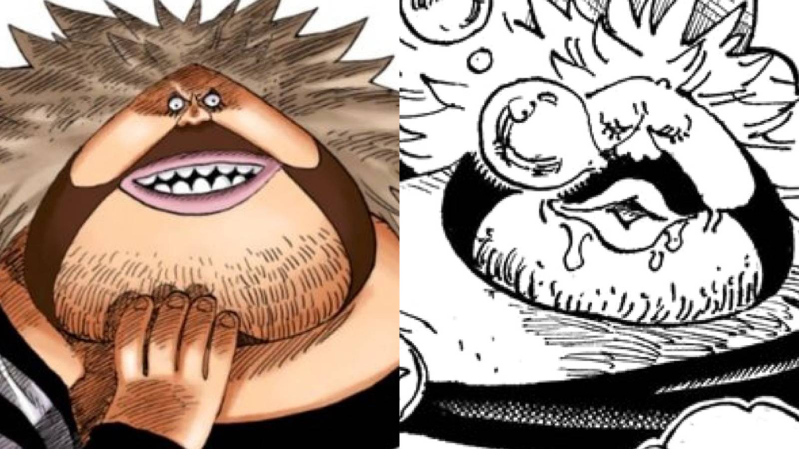 Sanjuan wolf one piece