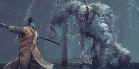 Sekiro Shadows Die Twice - Wolf Preparing To Fight Guardian Ape