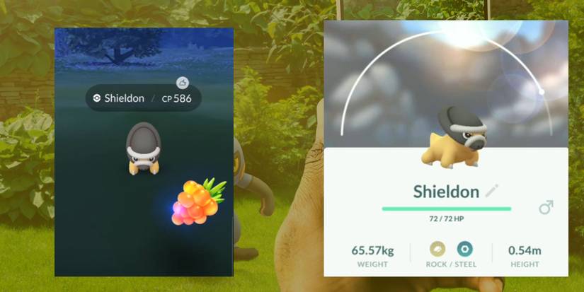 Shieldon in Pokemon GO