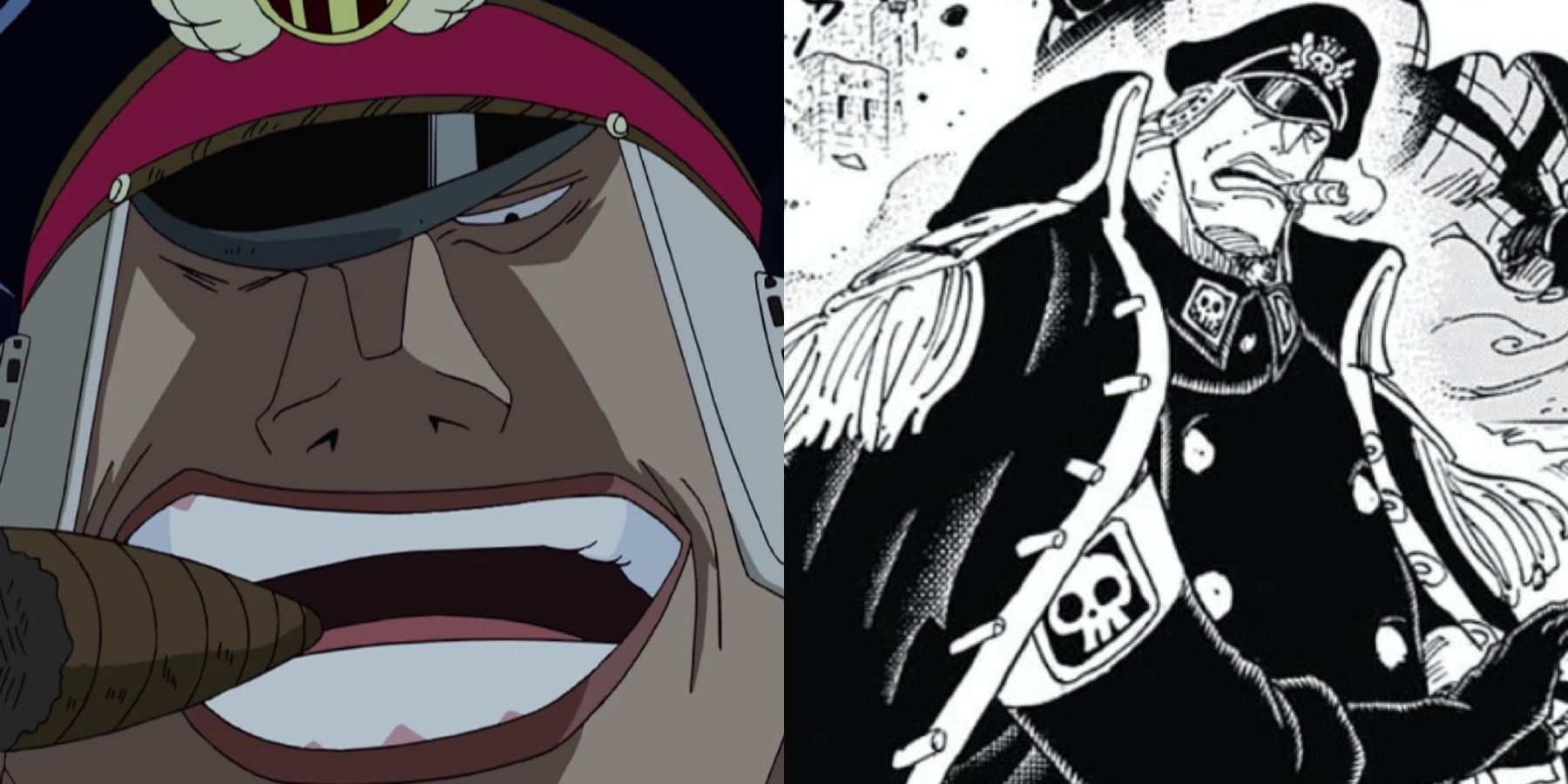 One Piece: Shiryu's Suke Suke no Mi, Explained