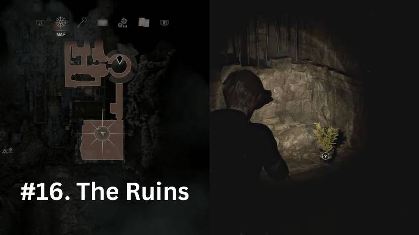 image showing the sixteenth yellow herb location re4 remake.