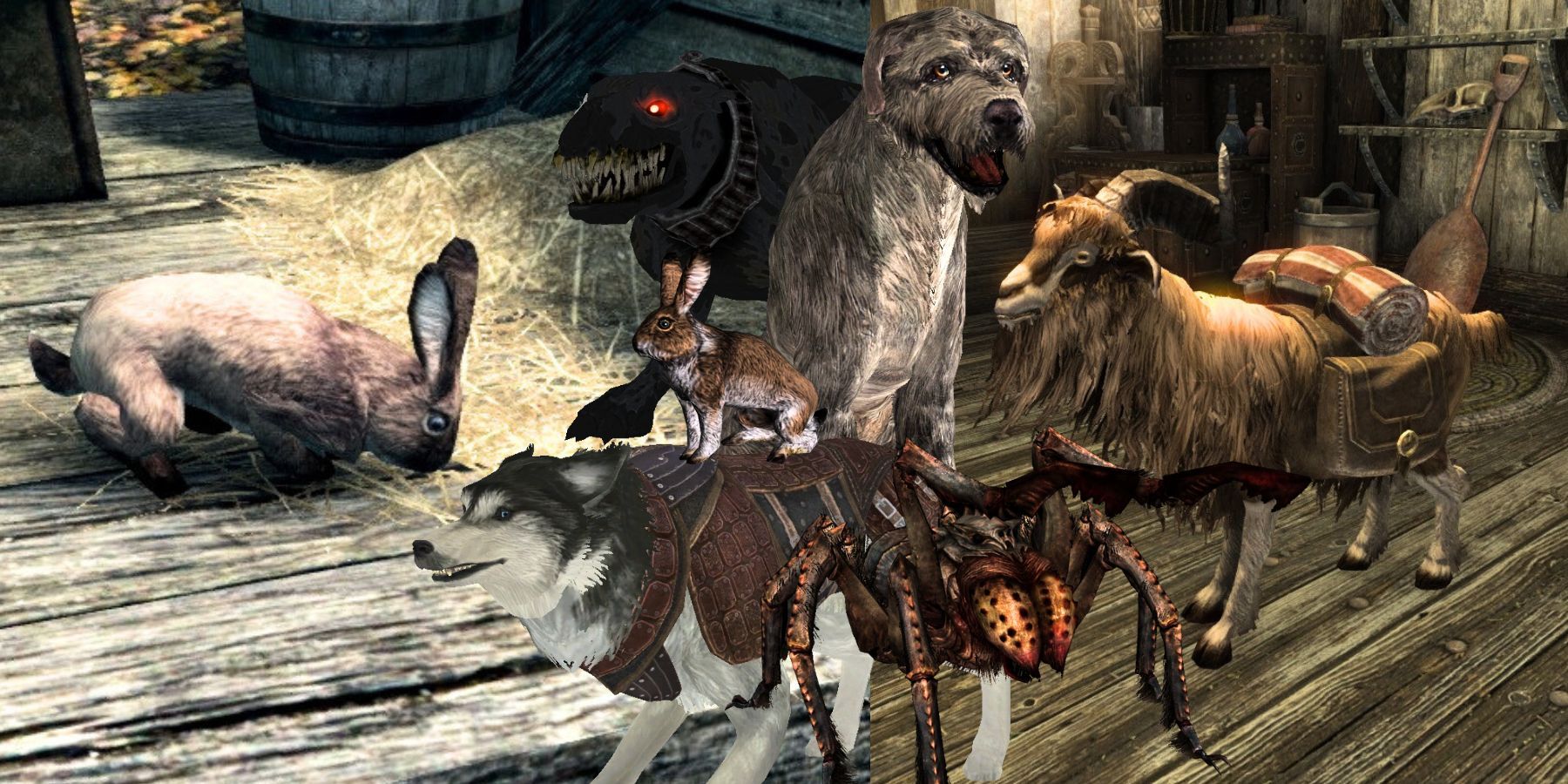 Skryrim Best Pets Updated Feature Image