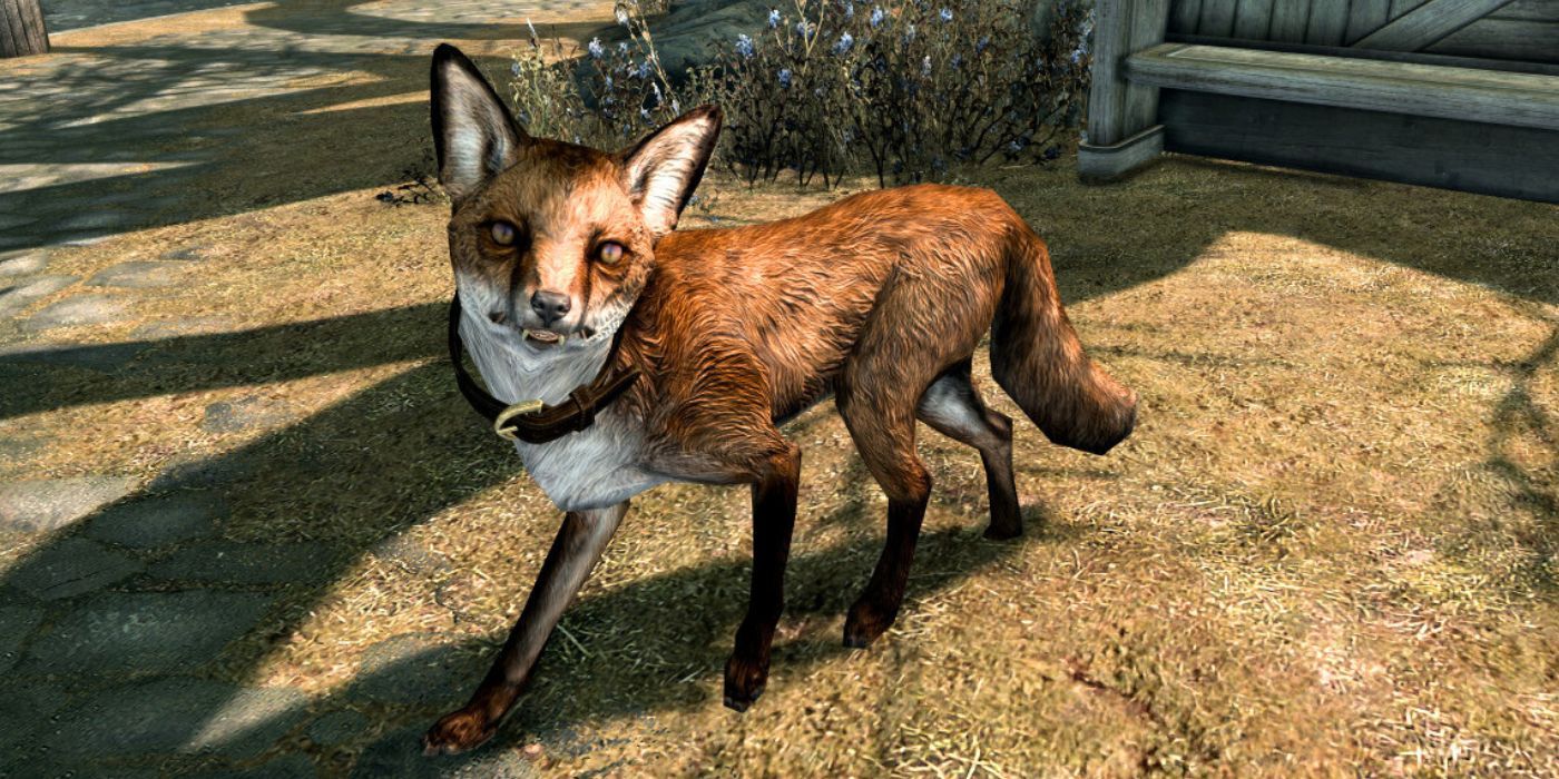 Skyrim Sweet Roll Fox Pet