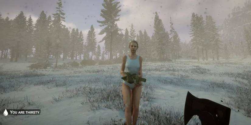 Sons Of The Forest Virginia Offerings