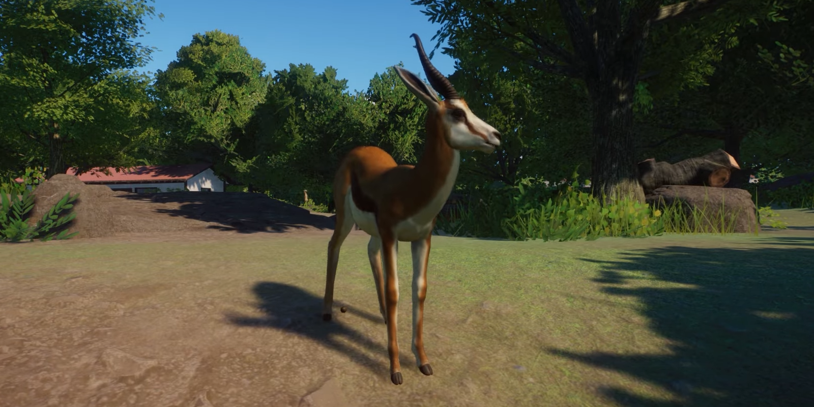 Planet Zoo Springbok