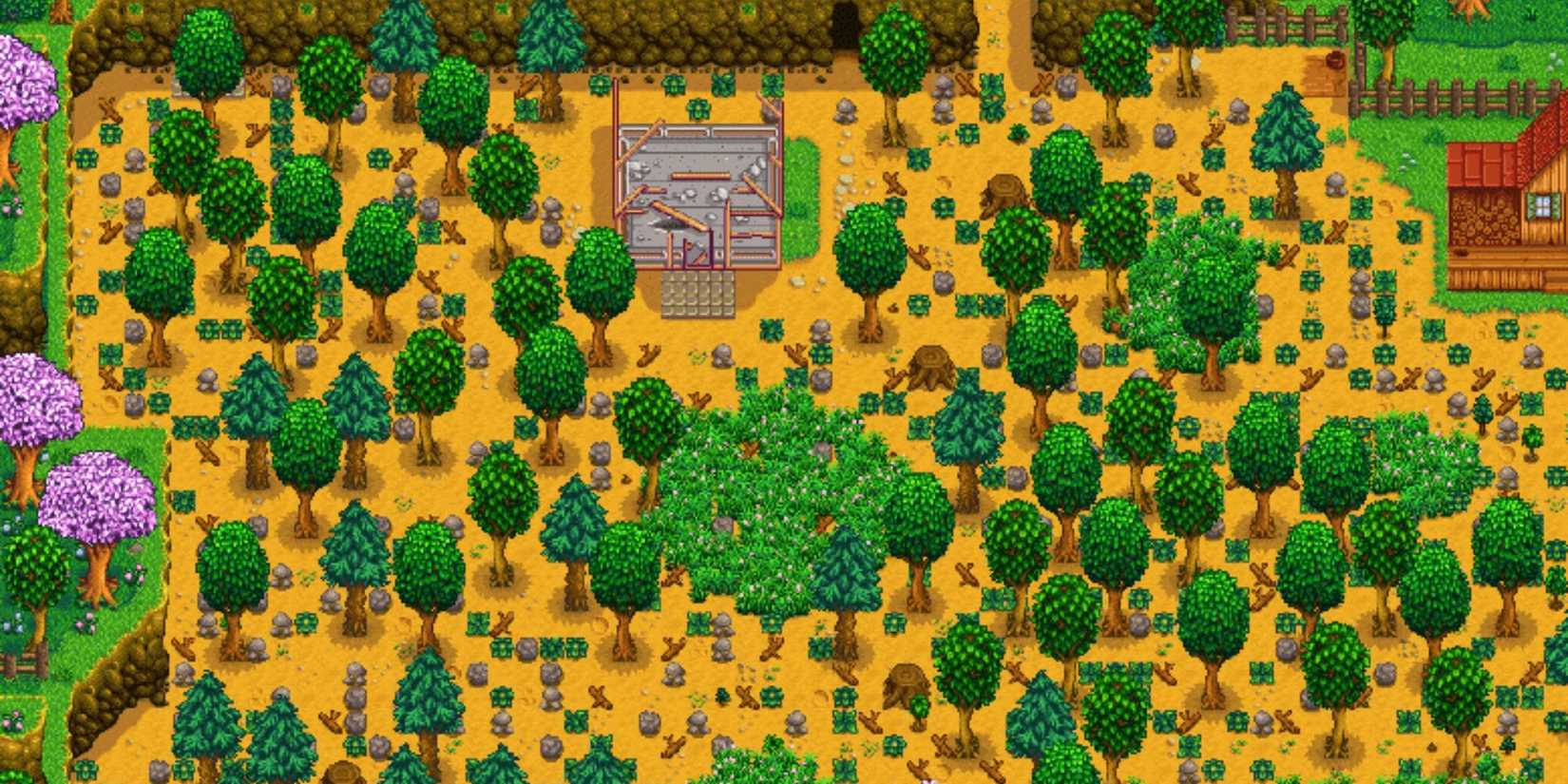 standard farm stardew valley