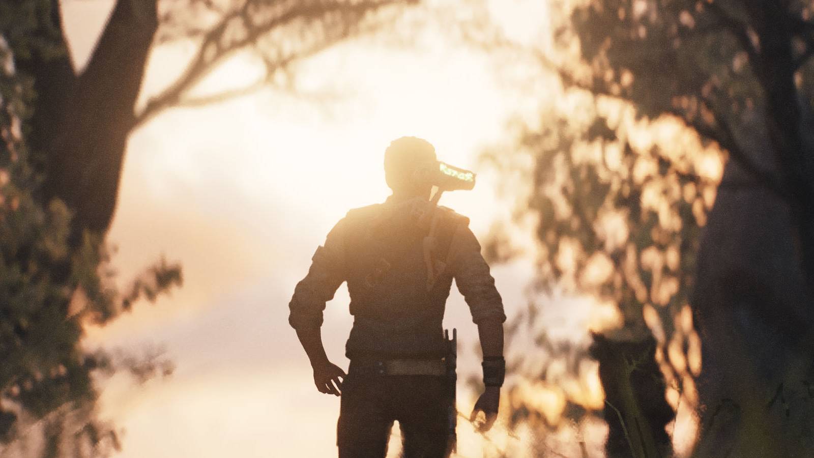 A screenshot of Cal Kestis and BD-1 walking toward a sunset that was taken with Star Wars Jedi: Survivor's Photo Mode.