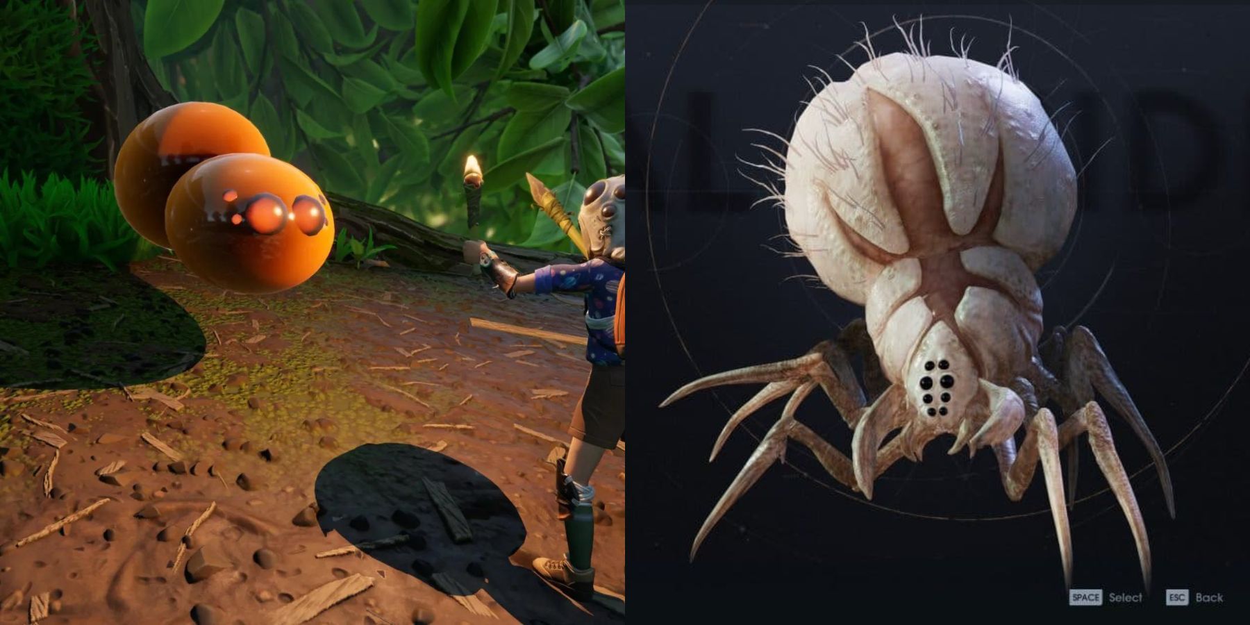 image showing spiders in grounded and star wars jedi survivor.