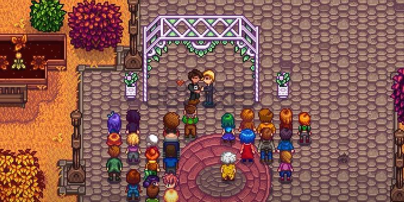 Stardew Valley Sam NPC Marriage