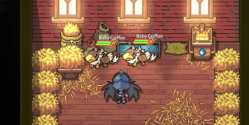 Baby griffons inside a barn in Sun Haven