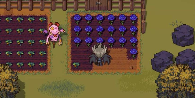 Growing Blue Roses in Sun Haven