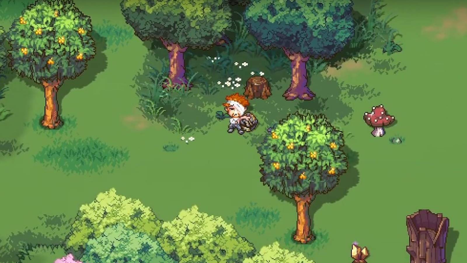 The injured fighter in Sun Haven's western forest