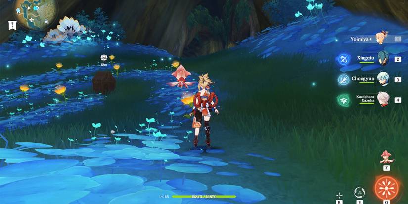 sunyata flowers precious chest in genshin impact