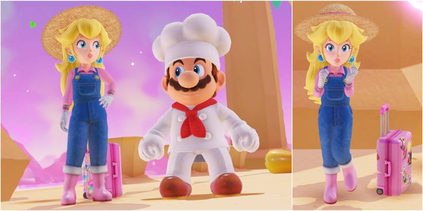 Super Mario Odyssey Peach Farmer