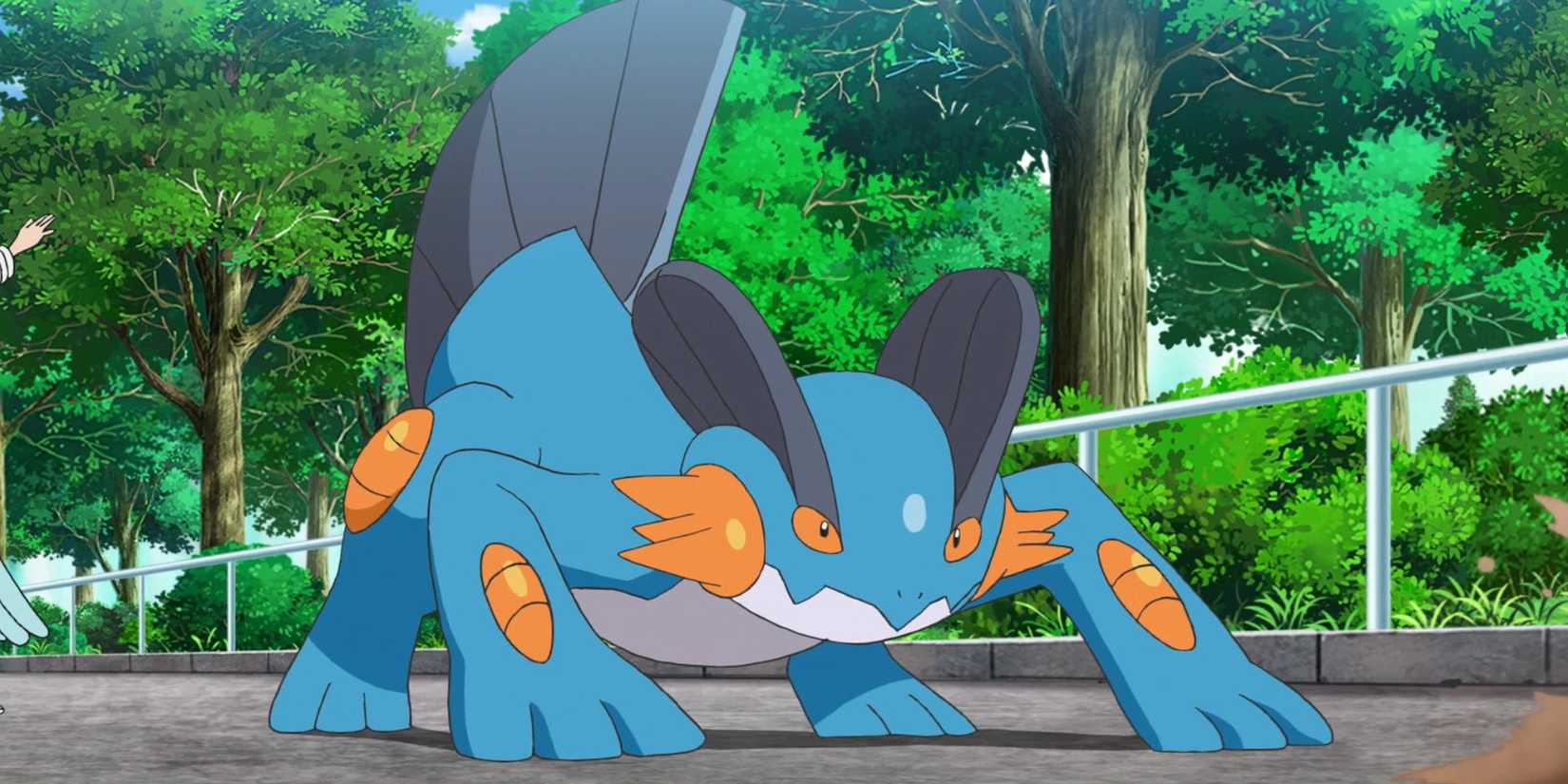 Swampert In The Pokemon Anime