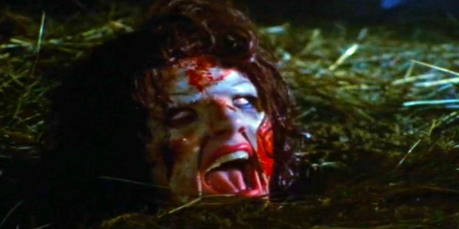 The Evil Dead 1981