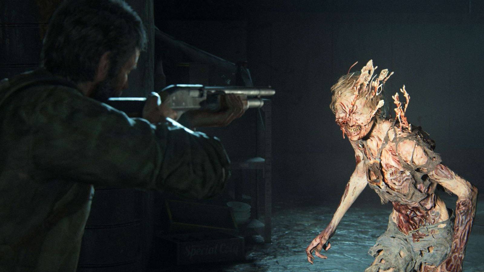 the last of us ammo bug