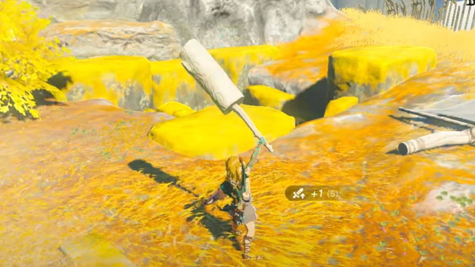 The Legend of Zelda: Tears of the Kingdom Ran Biomutant Walked Fuse Crafting