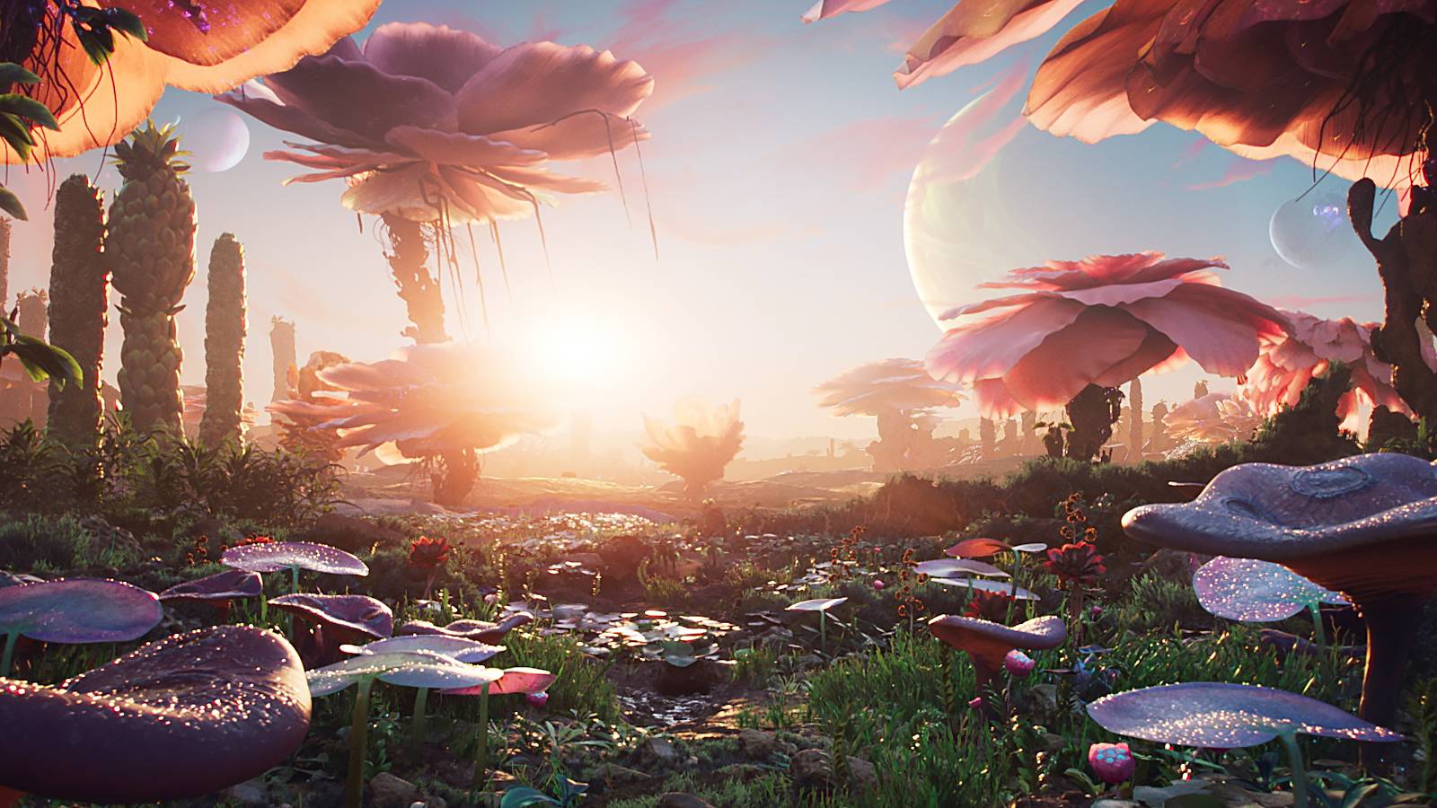 The-Outer-Worlds-2-reveal-trailer-alien-planet-field