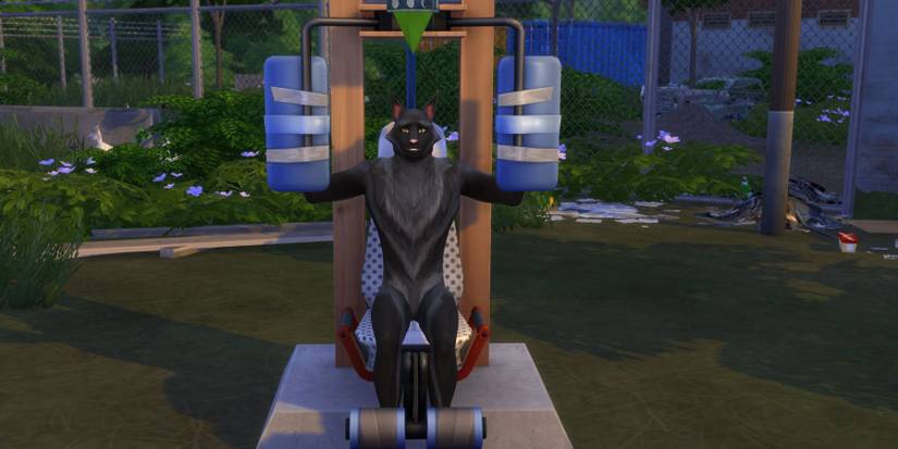 The Sims 4 Werewolves