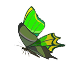 thunderwing butterfly botw