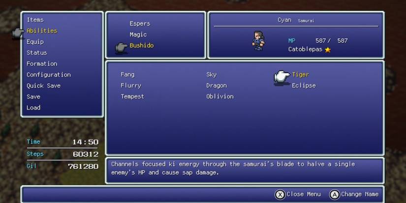 Tiger, Cyan’s ability in Final Fantasy 6